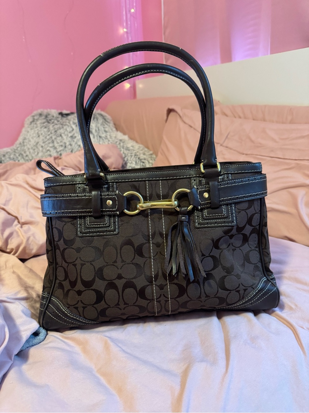 vintage y2k coach bag
